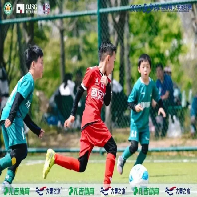 转会市场趋势观察:数据视角解读第379组动态
